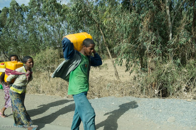 20120401_161016 Nikon D3S (4) 2x3.jpg - Carrying water